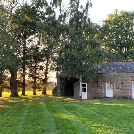 De La Bergerie De Tremohar Berric